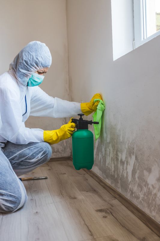 Air Duct Mold Removal in West Palm Beach, FL