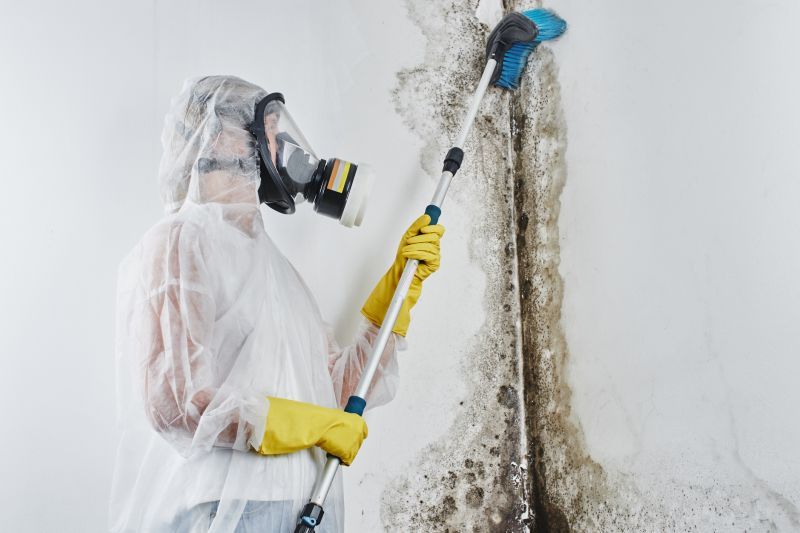 Attic Mold Remediation in Broward County, FL