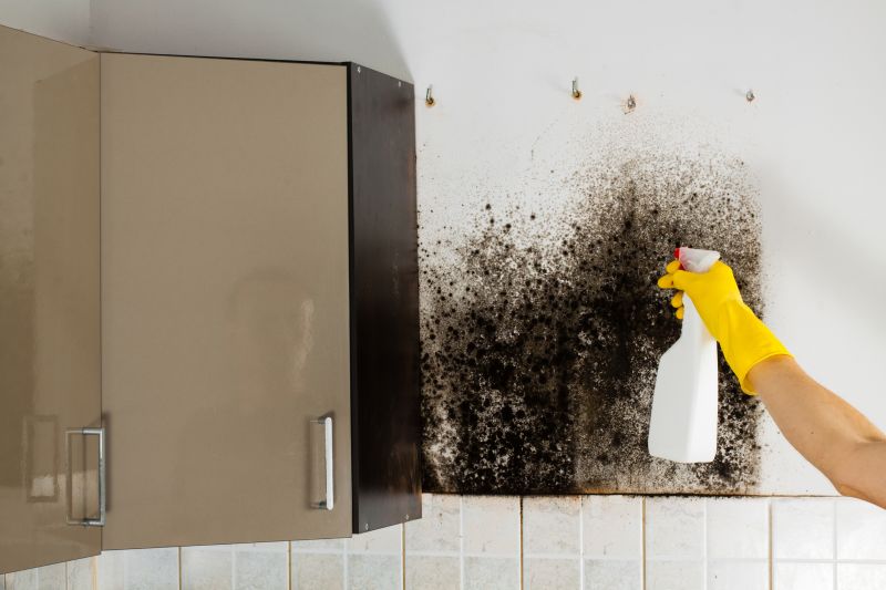 Attic Mold Removal in West Palm Beach, FL