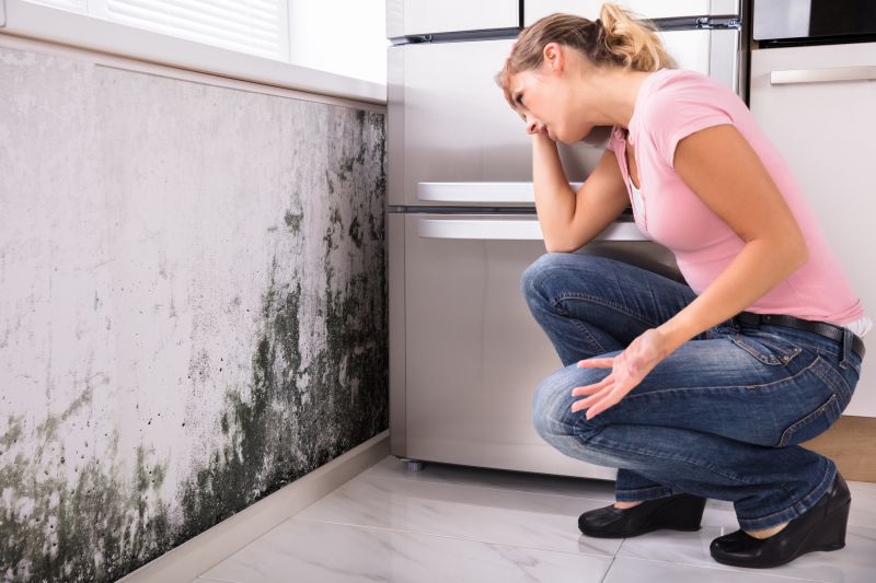 Black Mold Removal in Denton, TX