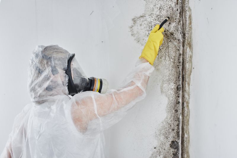 Black Mold Removal in Frisco, TX