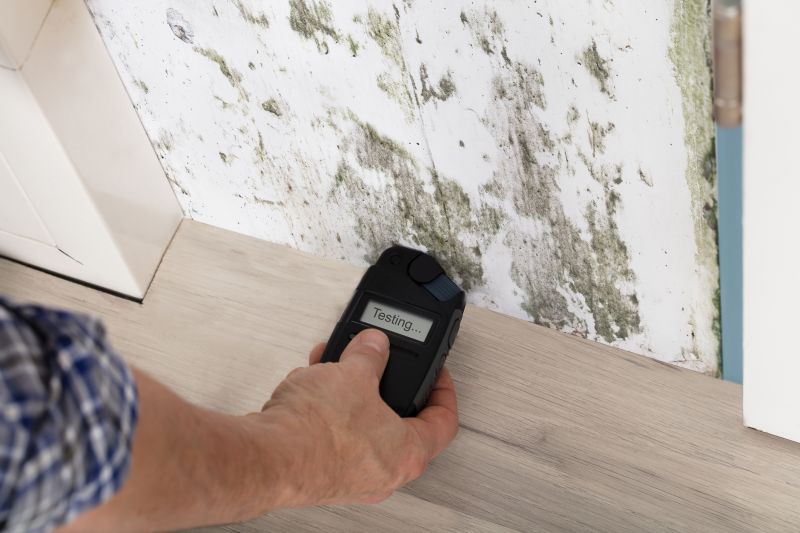 Mold Detection in Palm Beach County, FL