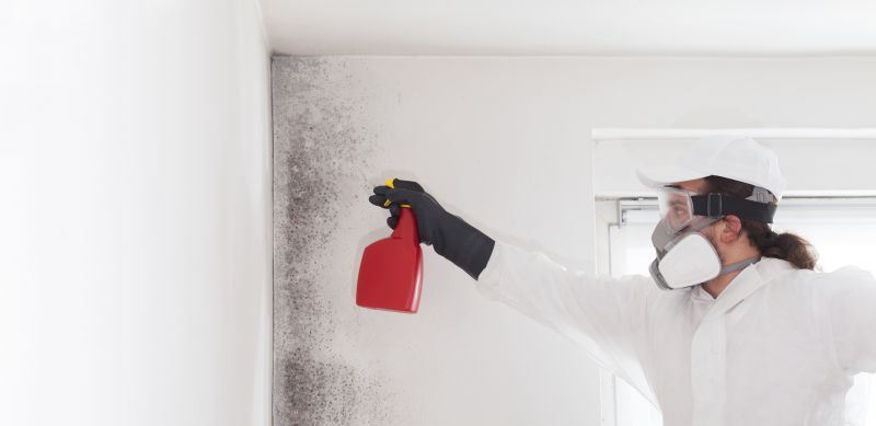 Mold Mitigation Service in Fort Lauderdale, FL
