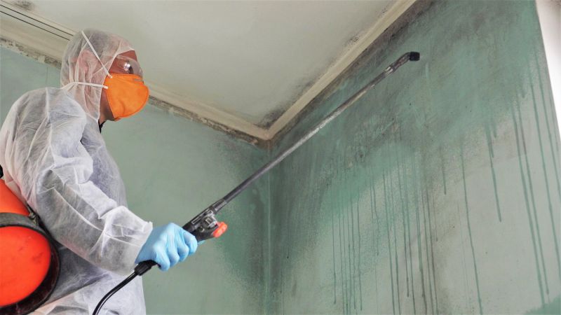Mold Mitigation Service in Broward County, FL
