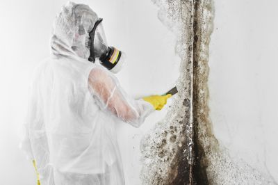 Mold Removal in Frisco, TX