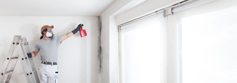Mold Removal in Jupiter, FL