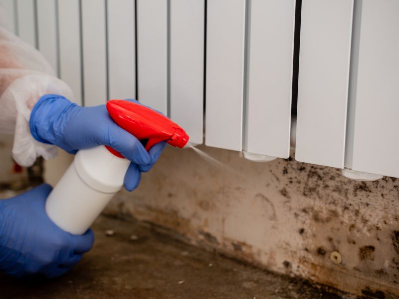 Air Duct Mold Removal in Boca Raton, FL