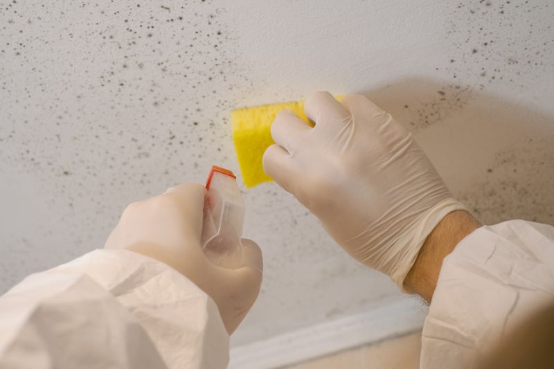 Attic Mold Remediation in Fort Lauderdale, FL