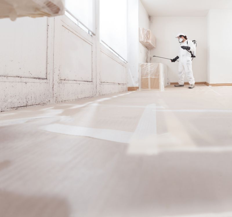Basement Mold Remediation in Fort Lauderdale, FL