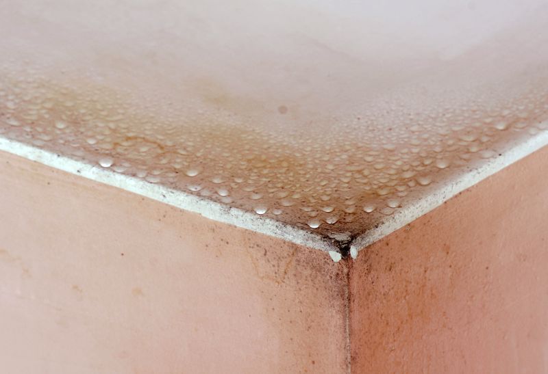 Basement Mold Removal in Boca Raton, FL
