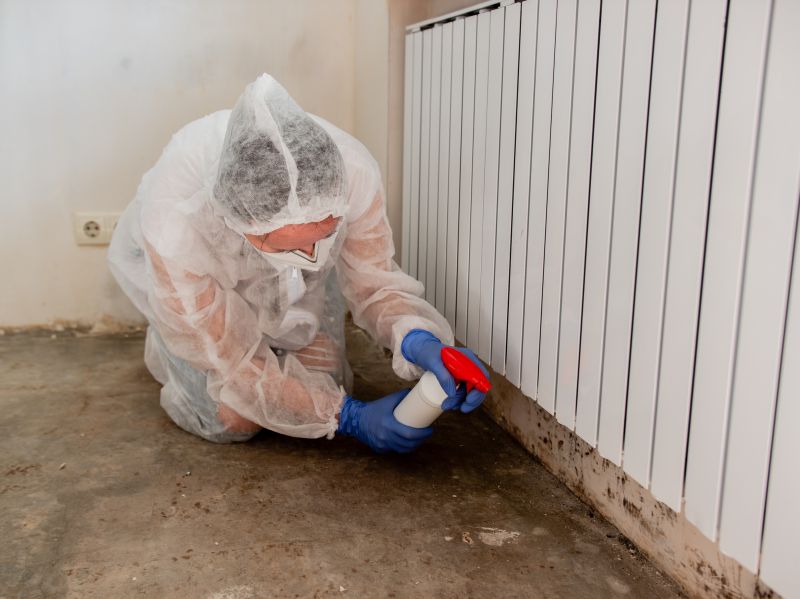 Basement Mold Removal in Dallas, TX