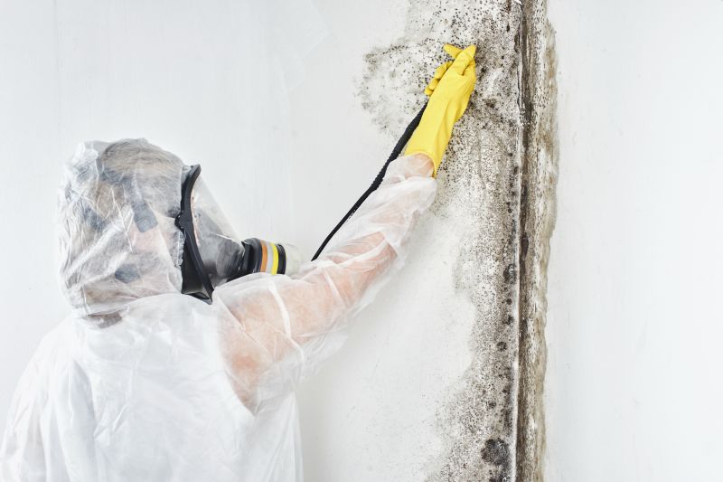 Black Mold Removal in Pompano Beach, FL