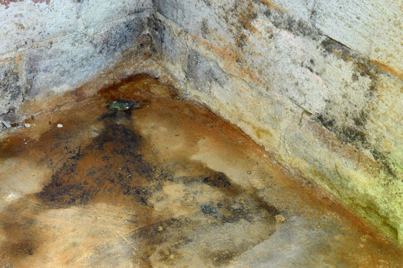 Crawlspace Mold Remediation in Essex County, NJ