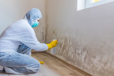 Garage Mold Remediation in West Palm Beach, FL