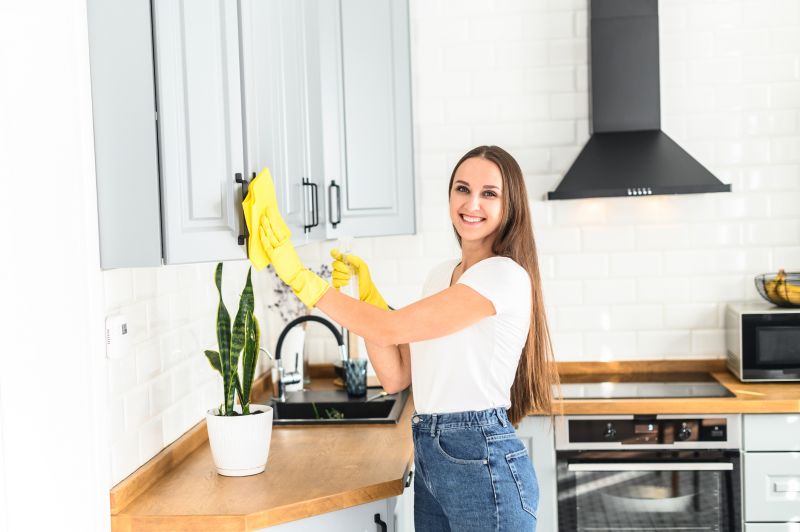 Kitchen Cleaning in Puyallup, WA