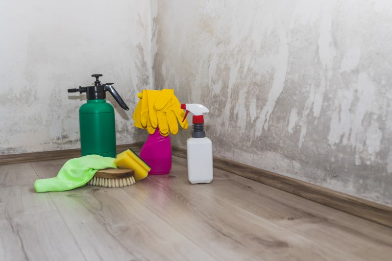 Mold Abatement Service in Essex County, NJ