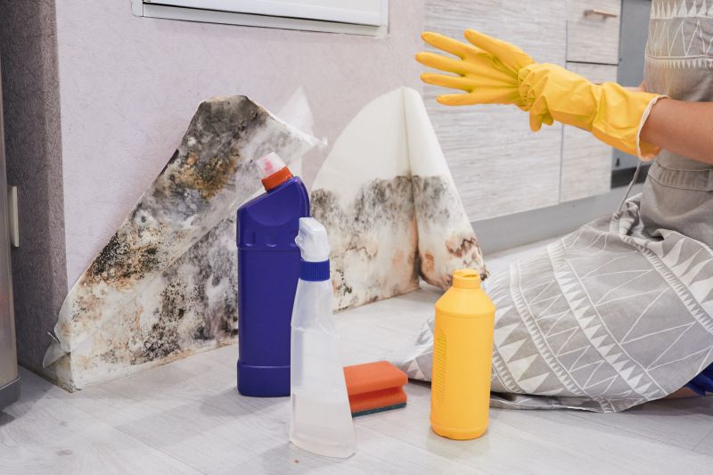 Mold Abatement Service in Essex County, NJ