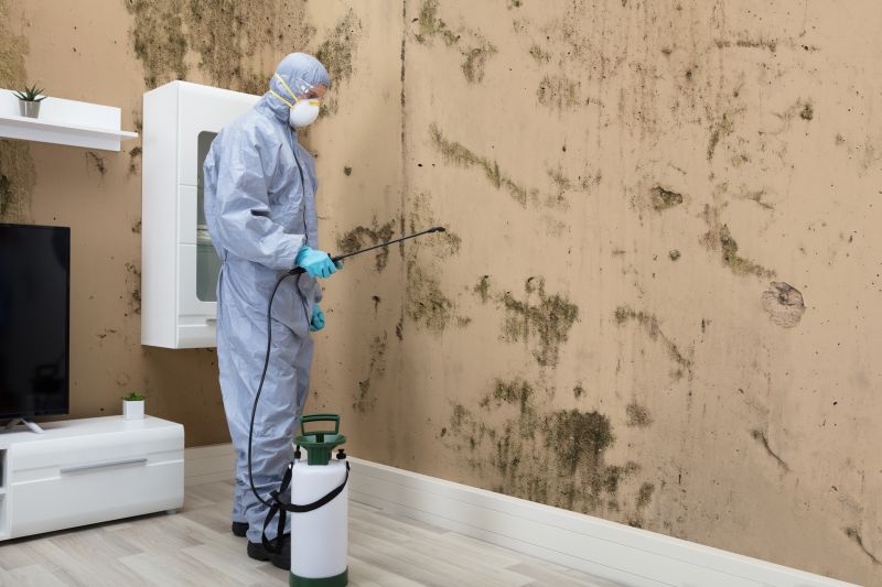 Mold Control in Dallas, TX