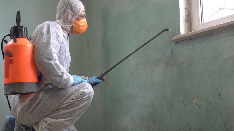Mold Control in Denton, TX