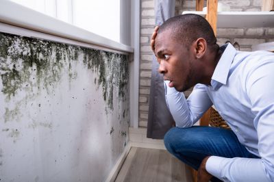 Mold Detection in Palm Beach County, FL