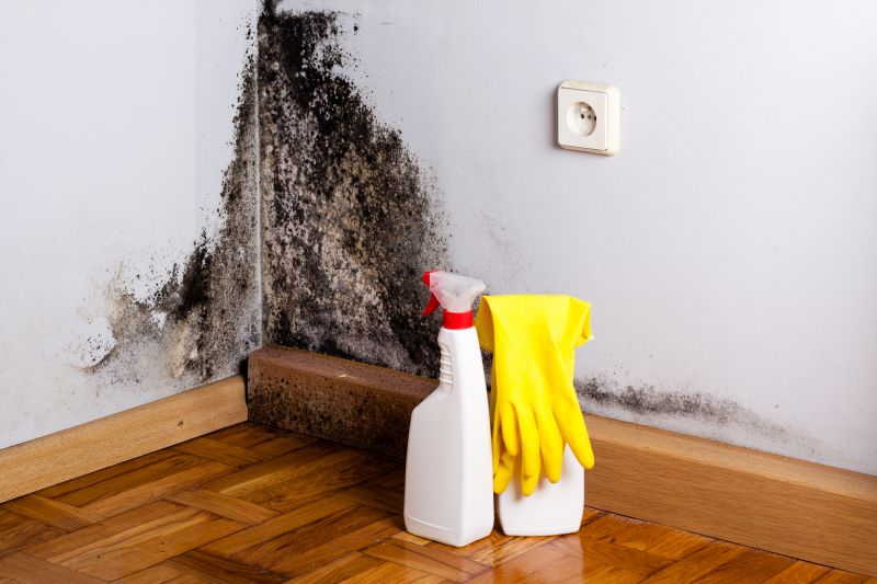Mold Mitigation Service in Fort Worth, TX