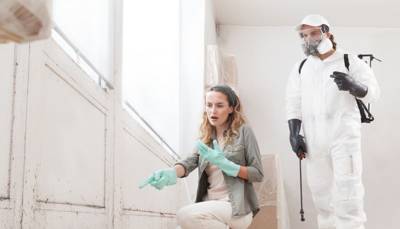 Mold Remediation Service in Fort Worth, TX