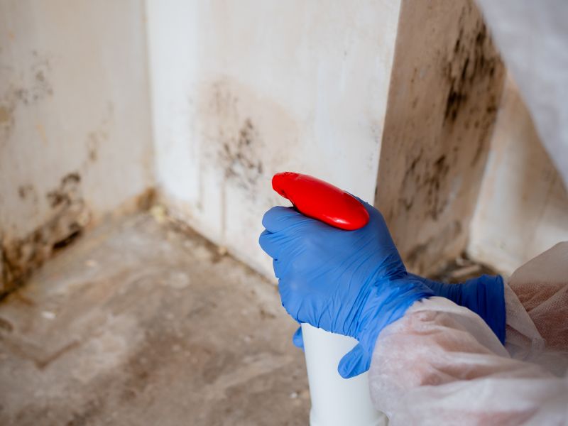 Mold Remediation Service in Fort Worth, TX