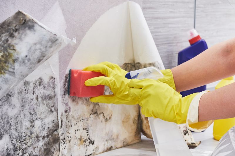 Mold Remediation Service in Fort Worth, TX