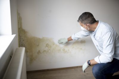 Mold Remediation Service in Essex County, NJ