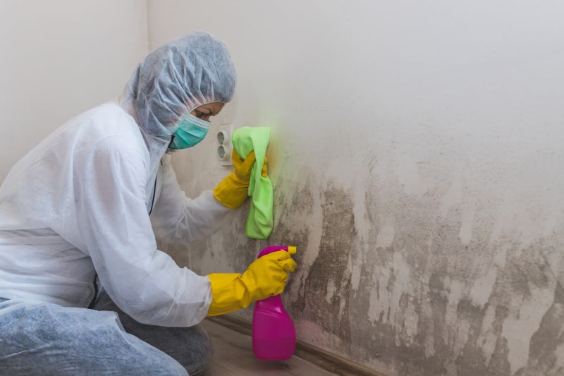 Mold Removal in Fort Worth, TX