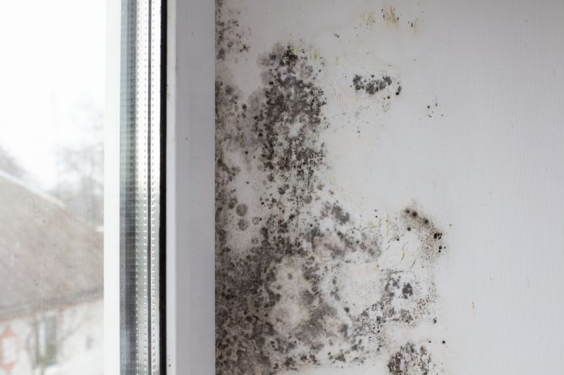 Mold Restoration in Essex County, NJ