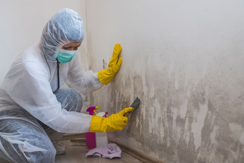 Mold Restoration in Fort Worth, TX