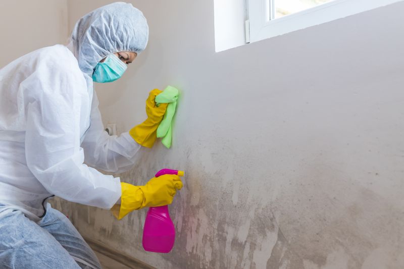 Mold Restoration in Frisco, TX