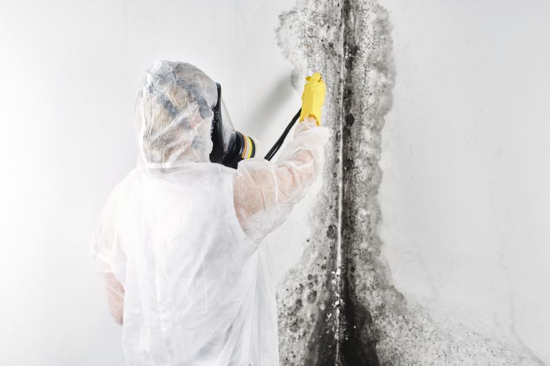 White Mold Mitigation in Fort Worth, TX